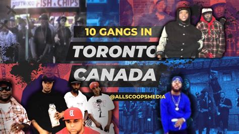 versace crew gang toronto|Prison Gangs in Canada .